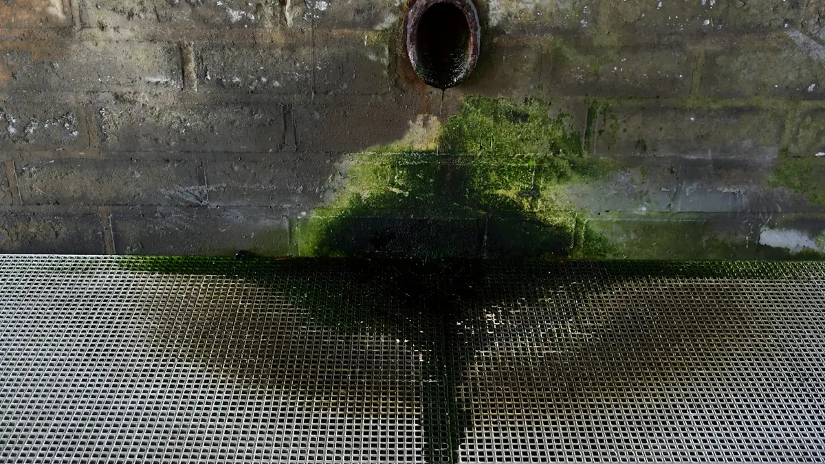 A rusted pipe end discharging water down a mossy brick wall onto a drain grate - Leak Detection in Folly Castle